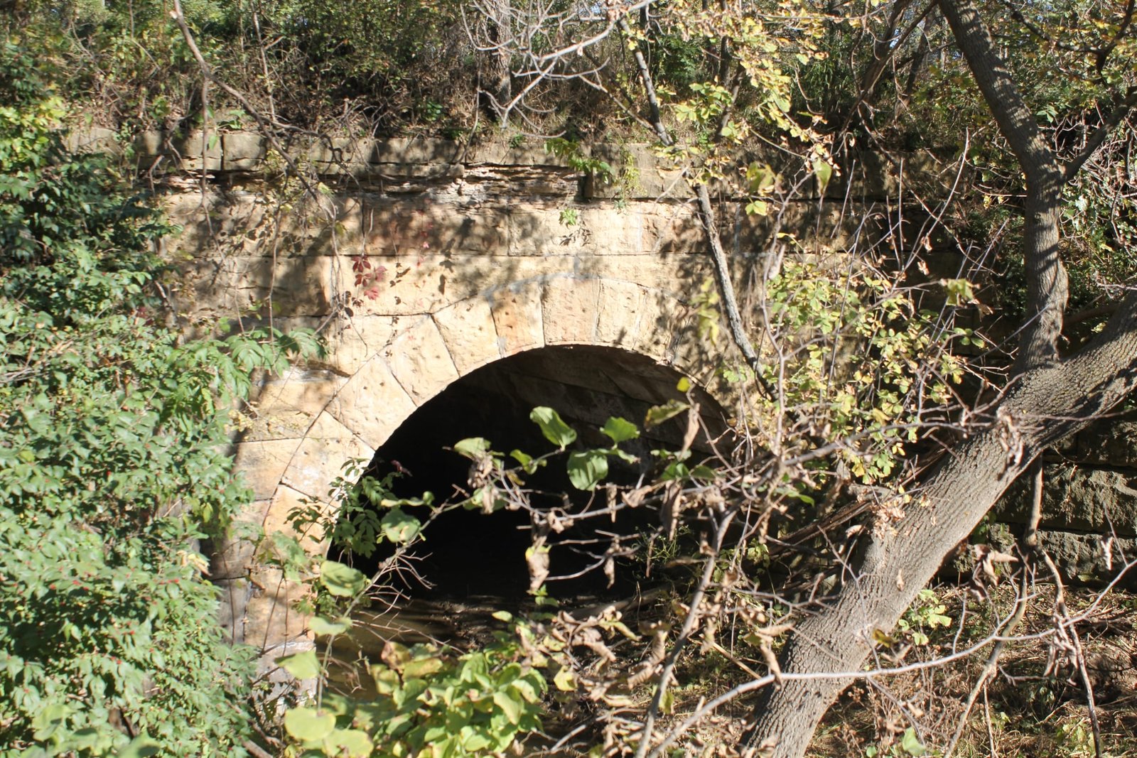 Overview